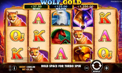 Wolf Gold