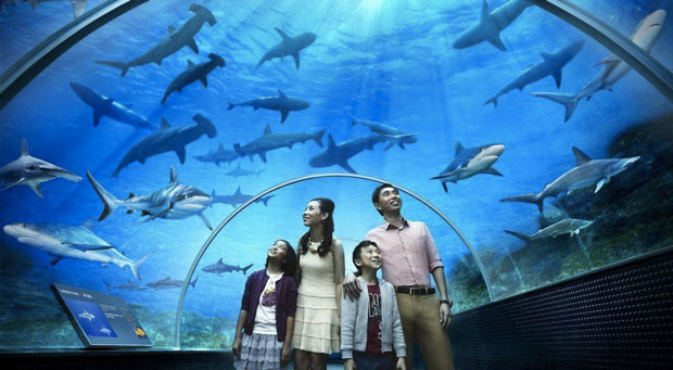 Aquarium Resort World Sentosa