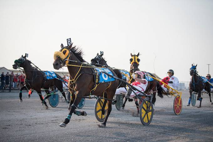 Century Downs Racetrack and Casino, Rocky View County