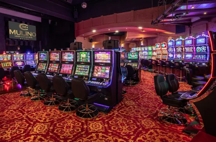 Luxury Boutique Hotel & Casino Mulino, Buje