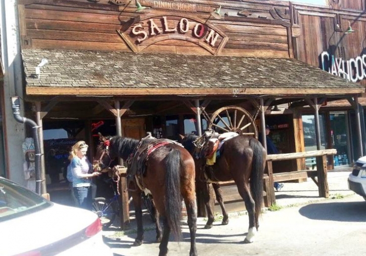 Old Cayucos Tavern & Cardroom