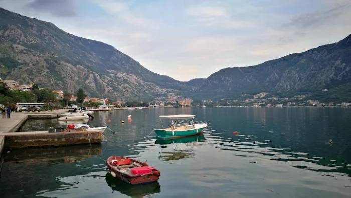 Automat Club Royal, Kotor