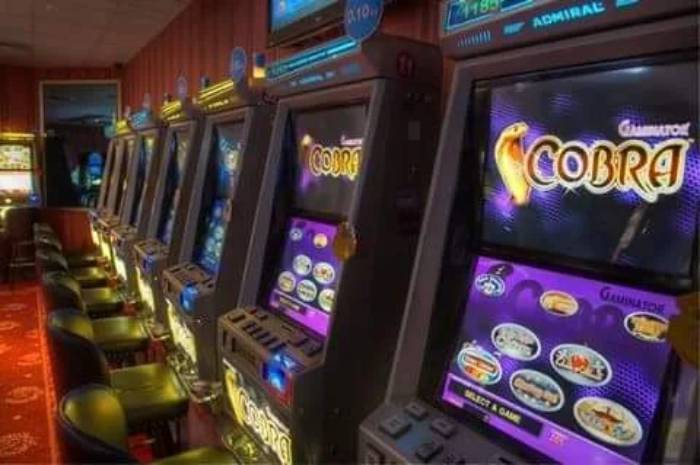 Automat Club Royal, Podgorica