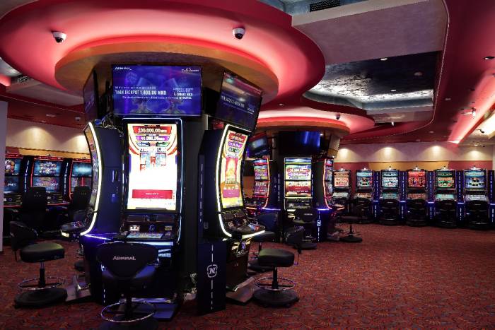 Admiral Slot Club Stela, Radovis