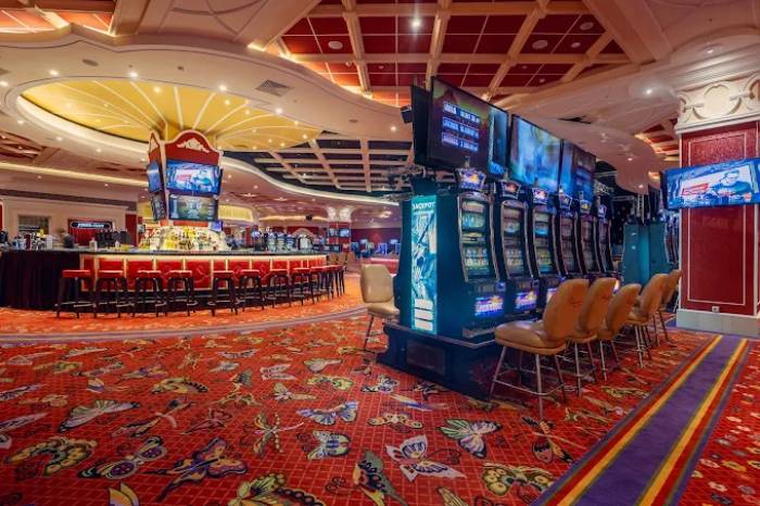 Casino Shambala, Primorsky Krai