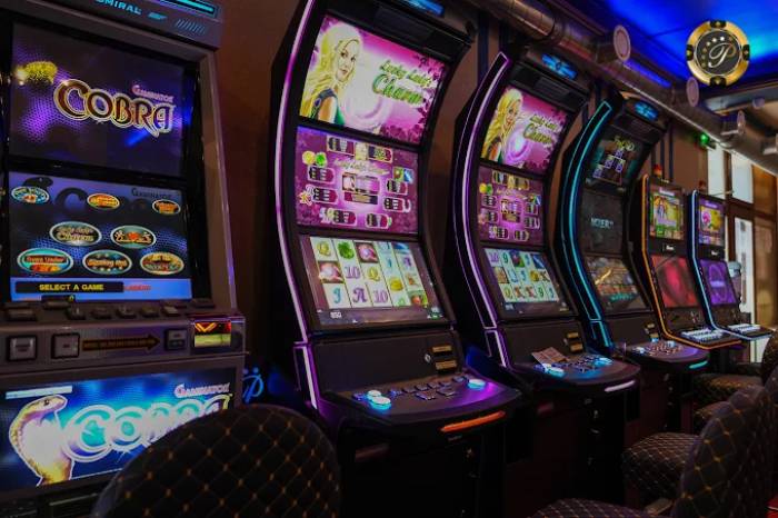 Presidente Slot Club Kralja Petra, Brus