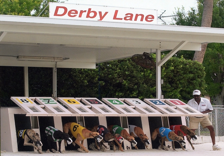 Is derby lane poker open Is derby lane poker open