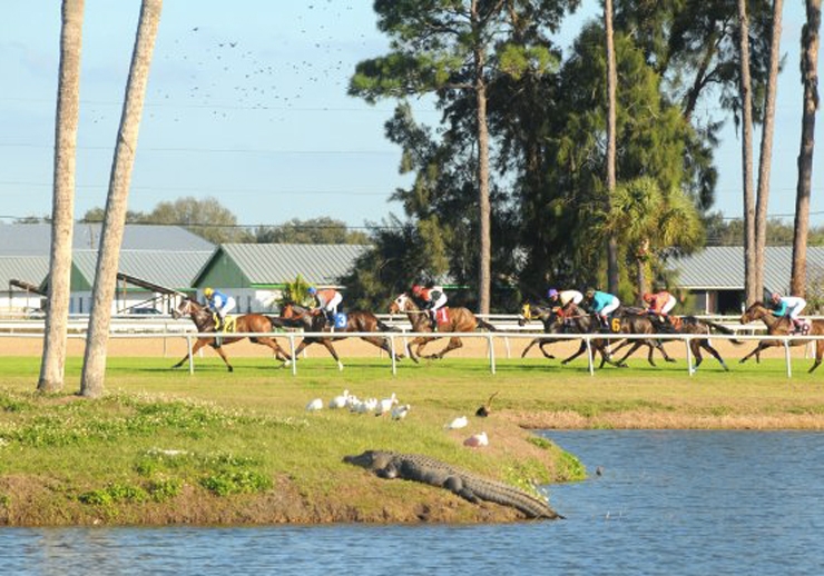 Bay Downs Silks Poker Room, Tampa