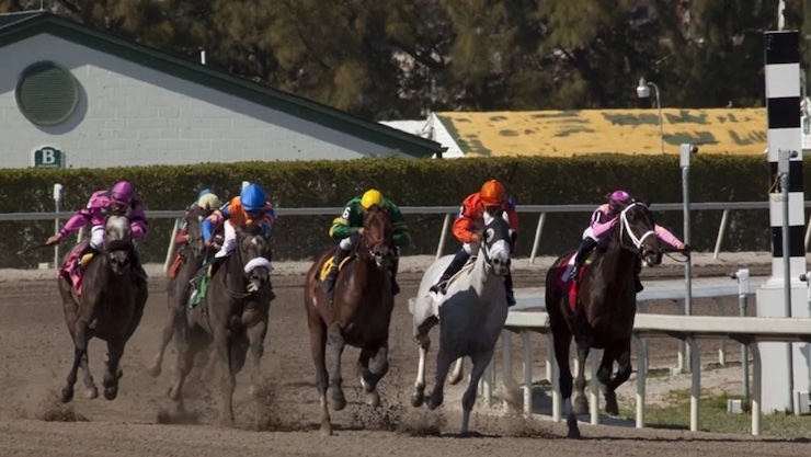 Gulfstream Park Casino, Hallandale Beach