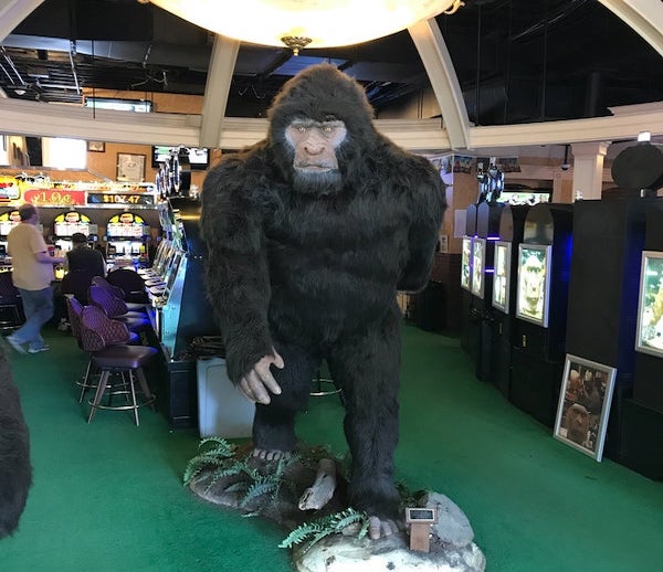 Sasquatch Casino, Black Hawk